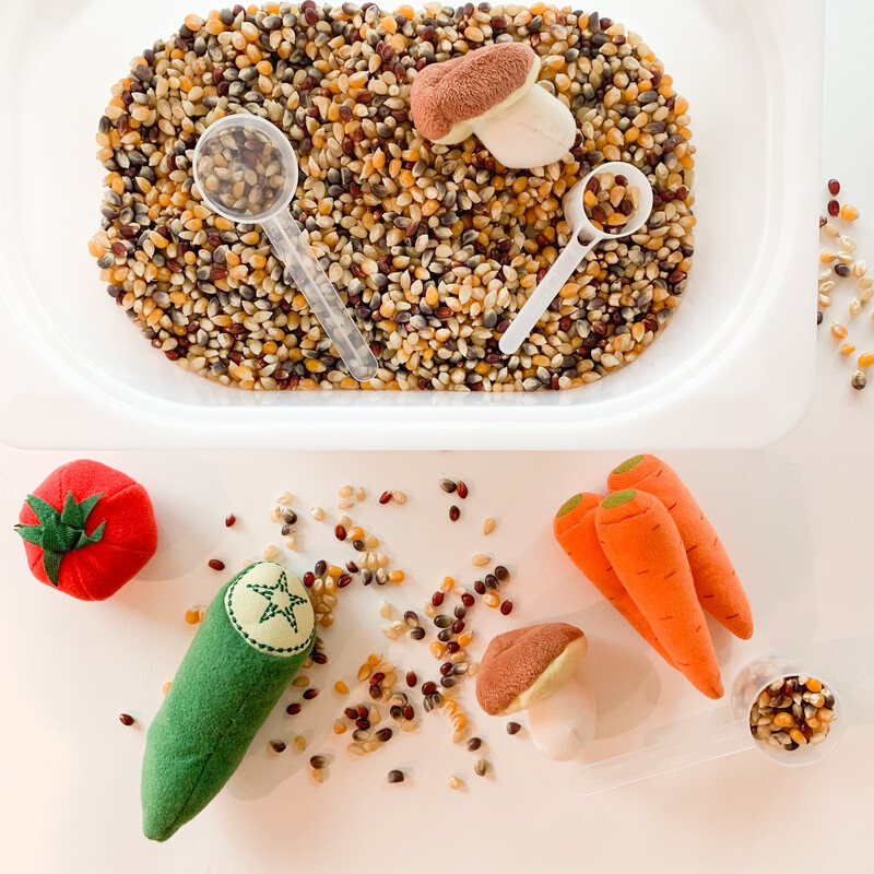 Corn Sensory Bin