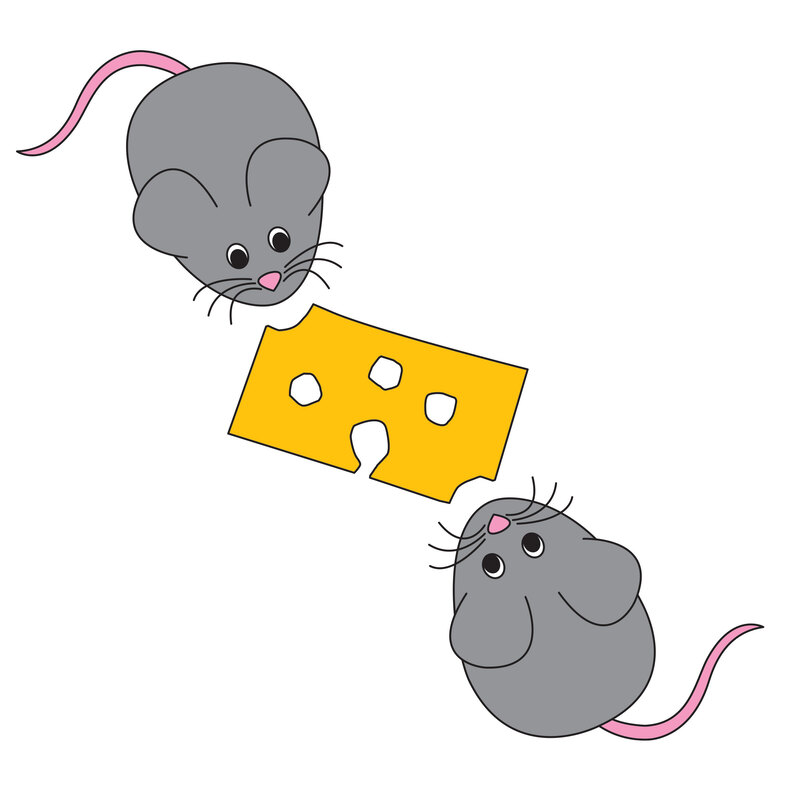 Songs/Rhymes Who's Got the Cheese?