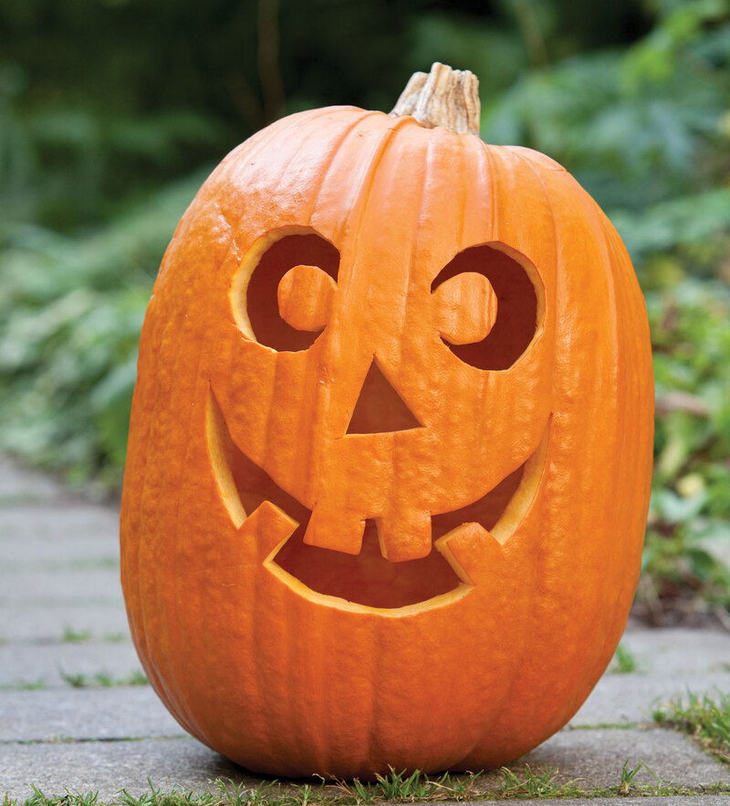 Jack O Lantern Face Ideas Jack O Lantern Face Ideas