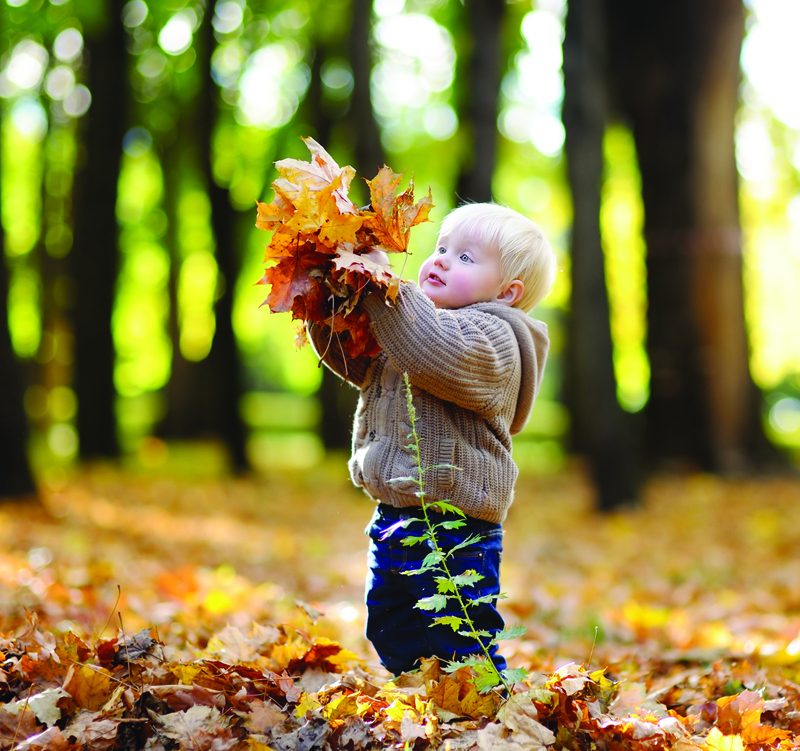 Fall Leaves Pick and Throw