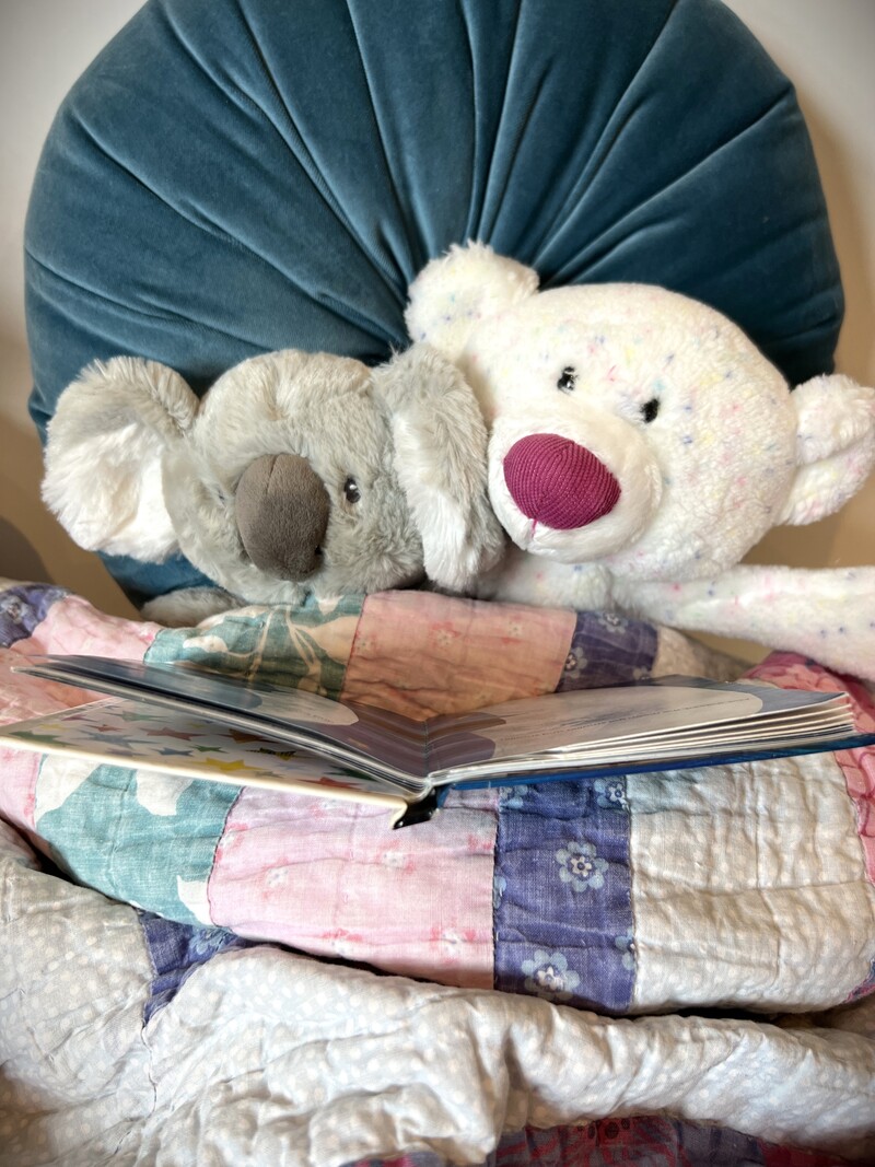 Sweet Dreams for Toys