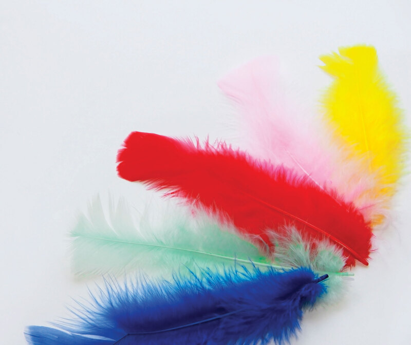 Movements Turkey Feather Roundup